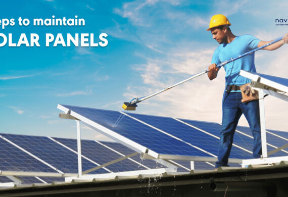 How to maintain solar panels: